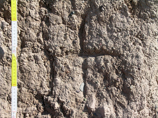 Croce nestoriana incisa in un tratto delle mura occidentali