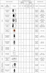 Tabella per l'individuazione degli insetti biodeteriogeni (tabella di di Giommi-Sgarzi)