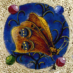 Farfalla, Vol. I, C. 4v